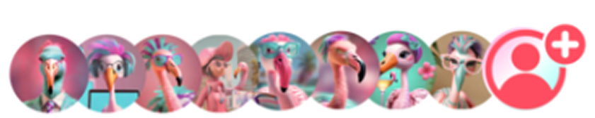 Profile pictures of Flaminga members